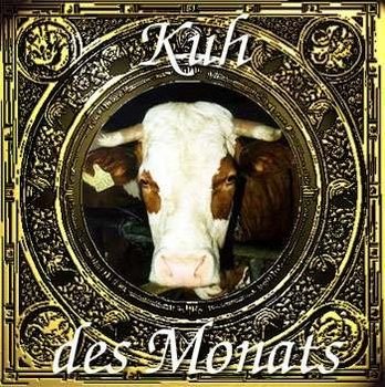 Kuh des Monats